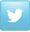 twitter icon